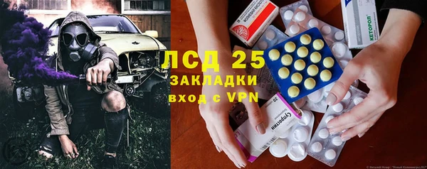 ГАЛЛЮЦИНОГЕННЫЕ ГРИБЫ Балахна