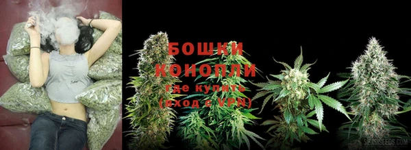 ГАЛЛЮЦИНОГЕННЫЕ ГРИБЫ Балахна