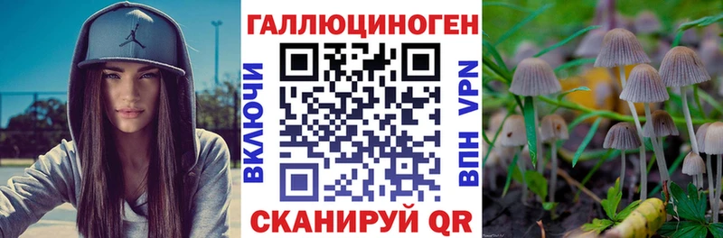 Галлюциногенные грибы Psilocybe ОМГ ОМГ как войти Вязники где продают наркотики